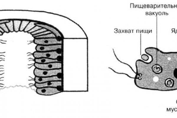 Сайт кракена в торе