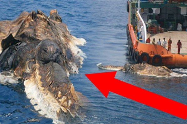Kraken 18 at