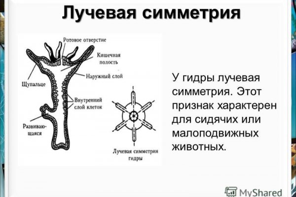 Кракен сбой